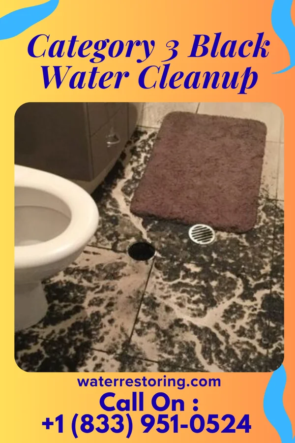 Category 3 Black Water Cleanup in Eagle, PA
