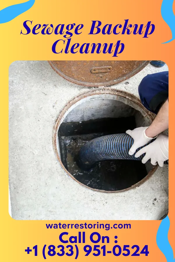 Sewage Backup Cleanup in Eagle, PA